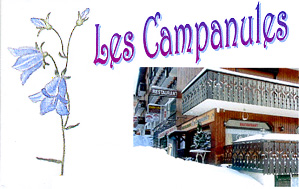 campanules.jpg