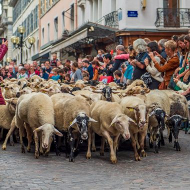 Descente des alpages Annecy 2023