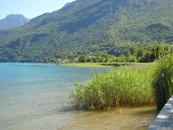 Réserve du bout du lac d'annecy - Aster