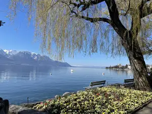 le lac Léman