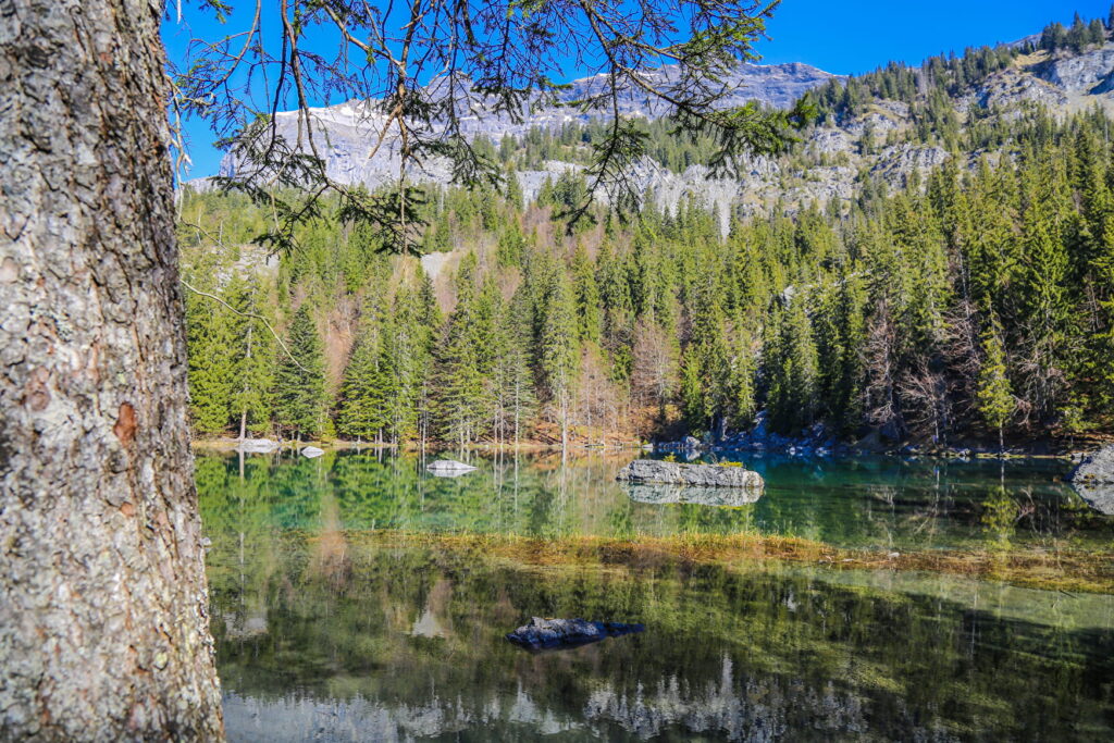 Lac Vert Passy